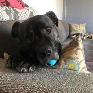 Meet your Posher, Mandy